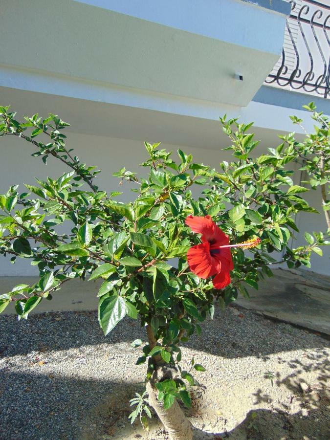 Villa Dora Faliraki Dış mekan fotoğraf